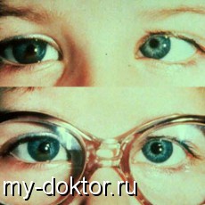  -   - MY-DOKTOR.RU