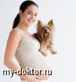 Домашние животные и беременность - MY-DOKTOR.RU