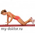 Эффективные упражнения для увеличения груди - MY-DOKTOR.RU