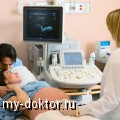 График обследований при беременности - MY-DOKTOR.RU