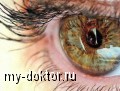 Катаракта - глаукома - MY-DOKTOR.RU