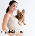 Маленький ребенок и собака в доме - MY-DOKTOR.RU