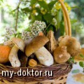 Особенности грибной диеты - MY-DOKTOR.RU